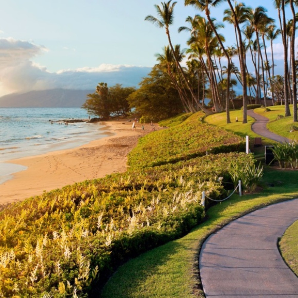 Hi, I’m your Posher Carol!!